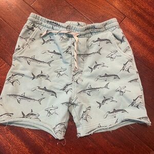 Feather 4 Arrow aqua blue shark shorts with drawstring